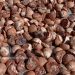 Turun Tipis, Harga Pinang Kering di Riau Rp10.351 per Kg
