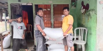 Dorong Ketahanan Pangan, Kolam Lele Terpal menjadi Pilihan Warga Desa Sikijang