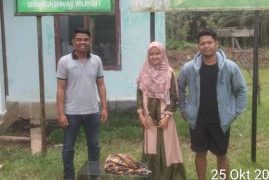 Macan Akar Ditemukan Kondisi Sakit di Kerumutan Diserahkan Warga ke BBKSDA