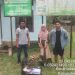 Macan Akar Ditemukan Kondisi Sakit di Kerumutan Diserahkan Warga ke BBKSDA