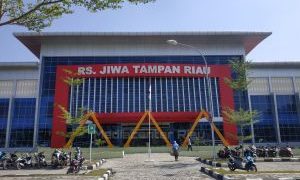 Pemerintah Perkuat Jaringan Layanan Kesehatan Jiwa di Seluruh Fasyankes