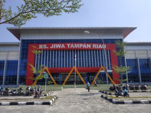Pemerintah Perkuat Jaringan Layanan Kesehatan Jiwa di Seluruh Fasyankes