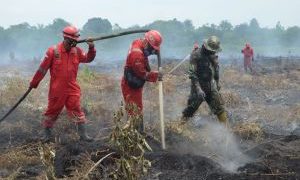 Tim Satgas Karhutla Riau Berjibaku Padamkan Api di Rambah Samo