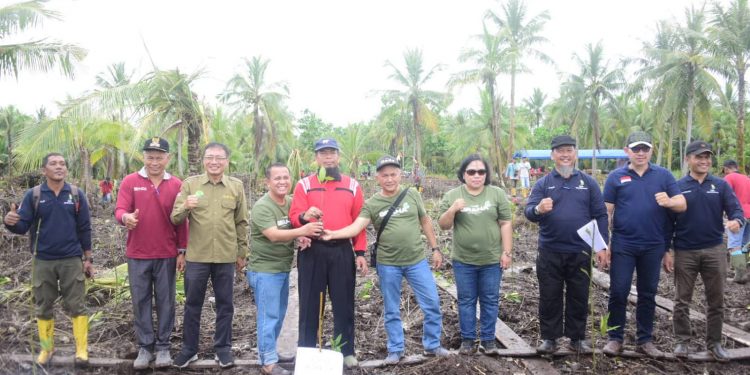 Bupati Bengkalis Tanam Mangrove Bersama Kagama dan Pengadaian Pekanbaru