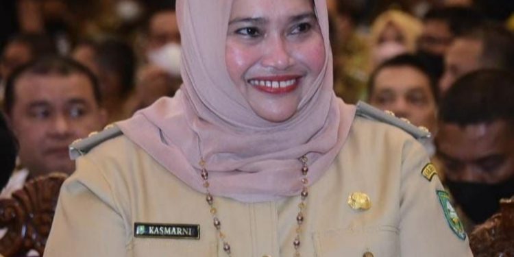 Raih Sejumlah Prestasi, Bupati Bengkallis dipuji Mendagri Tito Karnavian
