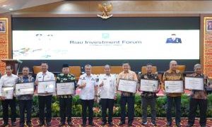 Realisasi Investasi Tinggi, Seharusnya Pusat Perhatikan Infrastruktur Riau