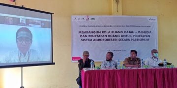 Cegah Konflik Gajah dan Manusia, PHR-RSF Bangun Pola Ruang dan Agroforestri