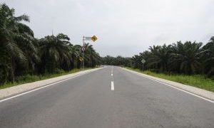 Jalan Penghubung Pekanbaru-Siak telah Diresmikan Gubernur Riau Syamsuar