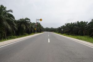 Jalan Penghubung Pekanbaru-Siak telah Diresmikan Gubernur Riau Syamsuar