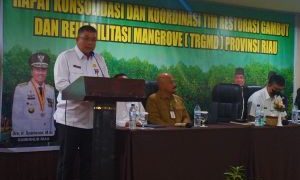 Kadis LHK Riau Optimalkan Restorasi Gambut dengan Porgam Swakelola