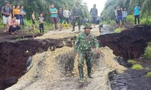 Pemprov Riau Minta Pusat Bantu Tangani Abrasi di Tiga Pulau Terluar RI