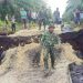 Pemprov Riau Minta Pusat Bantu Tangani Abrasi di Tiga Pulau Terluar RI