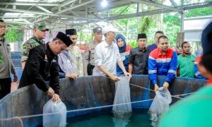 Perkuat Ketahanan Pangan, Pertagas Hadirkan Program Budidaya Ikan Gurami di Dumai