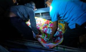Warga Meranti Tewas Diserang Buaya saat Bawa Batang Sagu