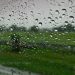 Awal Tahun Ini Hujan Masih Berpotensi Mengguyur Wilayah Riau
