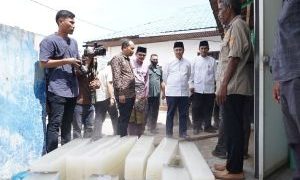 Gubri Tinjau Pabrik Es Balok dan Serahkan Bantuan 300 Ribu Benur Udang Vaname di Dumai