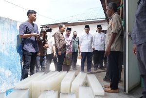 Gubri Tinjau Pabrik Es Balok dan Serahkan Bantuan 300 Ribu Benur Udang Vaname di Dumai