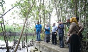 UNRI Kembangkan Kawasan Ekowisata Mangrove di Kampus Dumai
