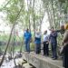 UNRI Kembangkan Kawasan Ekowisata Mangrove di Kampus Dumai