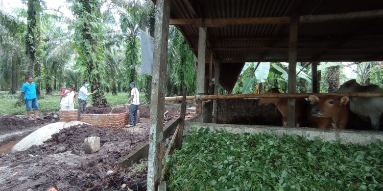 Ciptakan Kemandirian Energi di Desa, PHR Hadirkan 9 Unit Reaktor Biogas untuk Warga