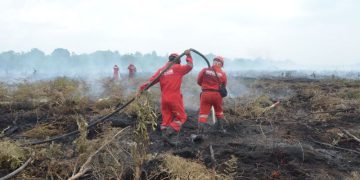 Antisipasi Kemarau 2023, DLHK Riau Minta Perusahaan Siaga Karhutla