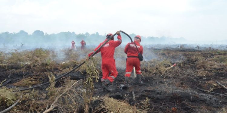Antisipasi Kemarau 2023, DLHK Riau Minta Perusahaan Siaga Karhutla