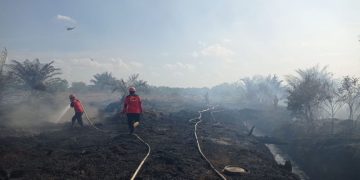 Pekanbaru dan Bengkalis Tetapkan Status Siaga Darurat Karhutla