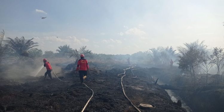 Pekanbaru dan Bengkalis Tetapkan Status Siaga Darurat Karhutla