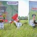 Bersama Gurbenur Syamsuar, Bupati Rohil Panen Raya Padi Nusantara 1 Juta Hektar di Rimba Melintang