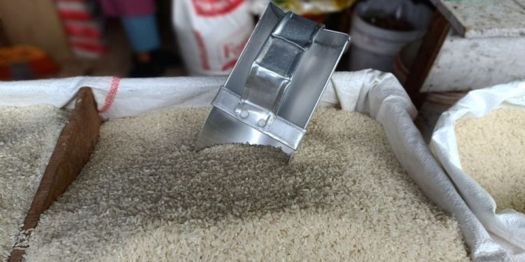 BPS: Luas Panen Padi di Riau Capai 51.050 Hektar dan Mampu Produksi 122.560 Ton Beras