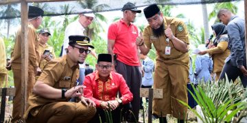 Bupati Buka Peluncuran Program Ketapang dan Restorasi Mangrove di Teluk Pambang
