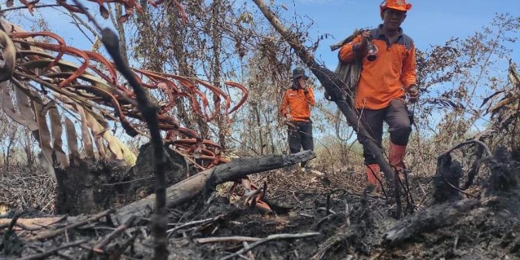 Karhutla yang Melanda Dua Desa di Bengkalis Berhasil Dipadamkan Petugas