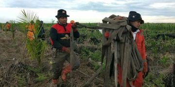 Padamkan Kebakaran Lahan BPBD Riau Kirim Tim dan Peralatan ke Bengkalis