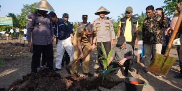 SMKN 1 Rupat Jadi Percontohan Penanaman Kelapa Pandan Wangi dan Talas Ungu