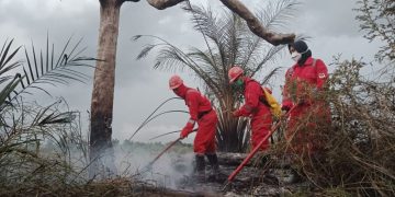 Sudah Empat Daerah Tetapkan Status Siaga Darurat Karhutla di Riau