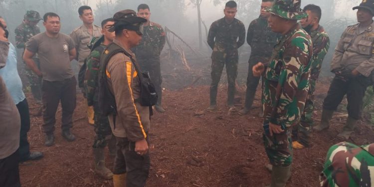 Polda Riau Buru Pembakar Lahan Gambut di Dumai dan Bengkalis