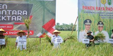 Pertanian di Kecamatan Rimbamelintang dan Sinaboi Sektor Ketahanan Pangan di Rokanhilir