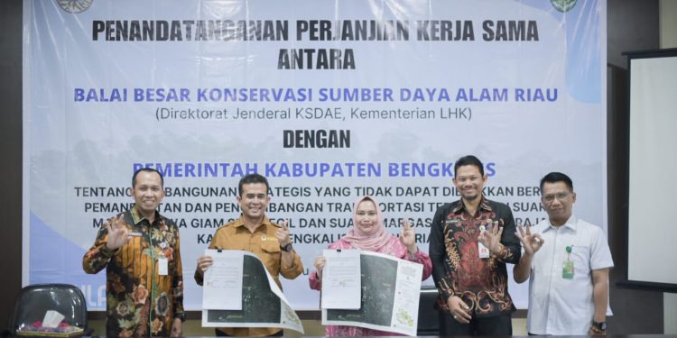 Penantian Panjang, Dimasa Bupati Kasmarni Impian Masyarakat di SM Giam SK dan SM Balai Raja Dapat Diwujudkan