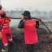 Petugas Gabungan Berhasil Padamkan Karhutla di Pelintung Dumai