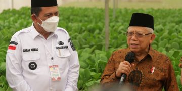 Wakil Presiden RI dan Gubernur Kepri Meninjau Pusat Pertanian Modern di Batam
