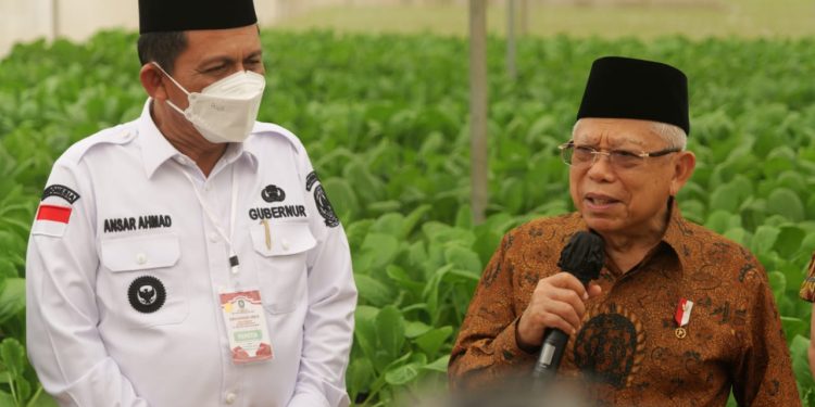 Wakil Presiden RI dan Gubernur Kepri Meninjau Pusat Pertanian Modern di Batam