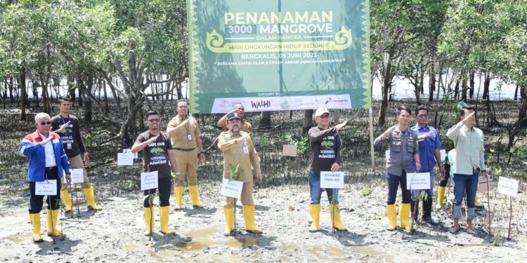 Lestarikan dan Cegah Abrasi, Bupati Kasmarni Buka Talk Show Penanaman 3000 Mangrove