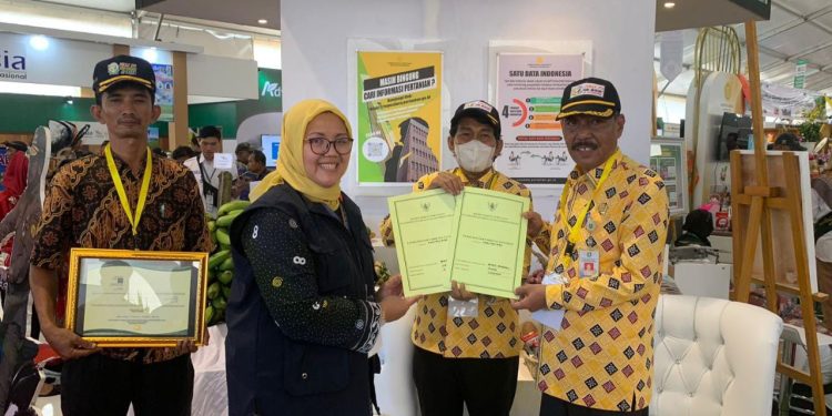 Durian Laksamana dan Durian Idola Laksamana Asli Bengkalis Terdaftar di Kementan