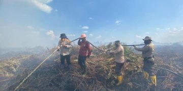 Polisi Padamkan Karhutla 20 Ha di Rohul, Kedalaman Gambut Sampai 10 Meter