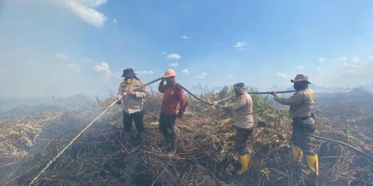 Polisi Padamkan Karhutla 20 Ha di Rohul, Kedalaman Gambut Sampai 10 Meter