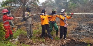 Satgas Karhutla Riau Padamkan 476 Hekatre Lahan Terbakar