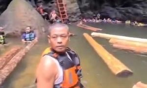 Wisatawan Temukan Tebangan Kayu Besar di Gulamo Koto Kampar, BBKSDA Riau Turunkan Tim