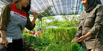 Dulu dianggap Hama, Sekarang dirindukan Keberadaannya Agroforestri Upaya PHR dan RSF Selamatkan Habitat Gajah 