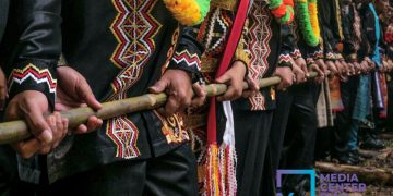 Maelo Jalur Tradisi Gotong Royong Menyeret Kayu dari Hutan