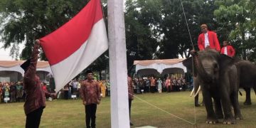 Momen Pengibaran Bendera di BKSDA Riau Libatkan Tiga Gajah